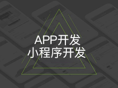 APP開(kāi)發 / 小(xiǎo)程序開(kāi)發