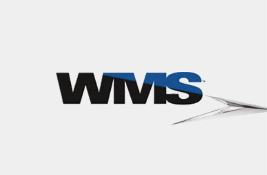 WMS倉庫管理系統